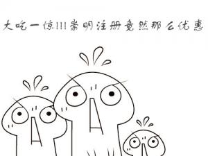 2017ĸעṫ˾Ż